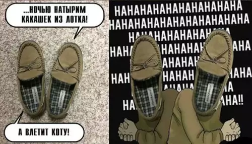 Смешная картинка №345900 Злодейские тапки