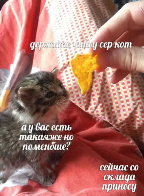 Смешная картинка №727523