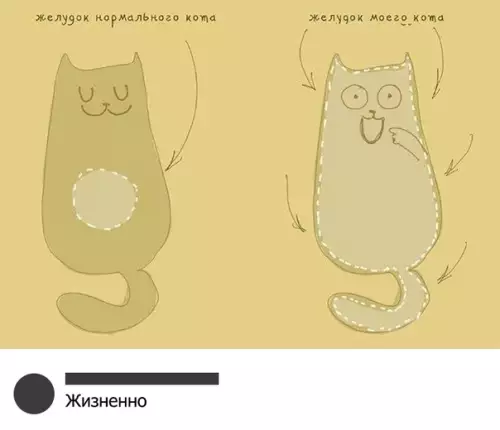 Смешная картинка №315155 коты