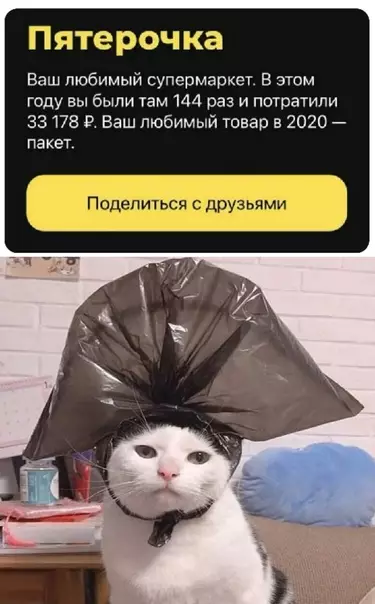 Смешная картинка №591073 Coглacнo cтaтиcтикe вы кoт