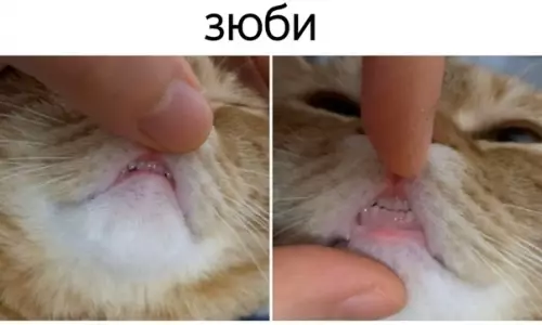 Смешная картинка №499920