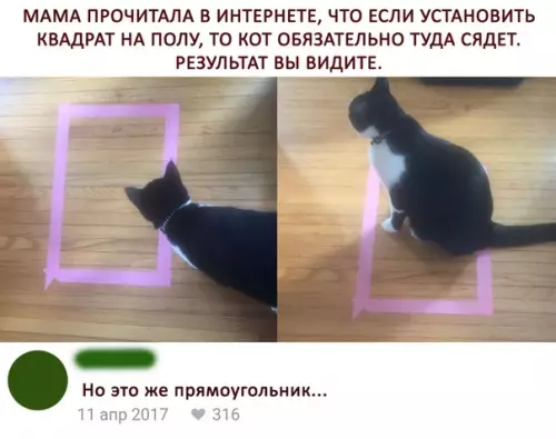 Смешная картинка №289850