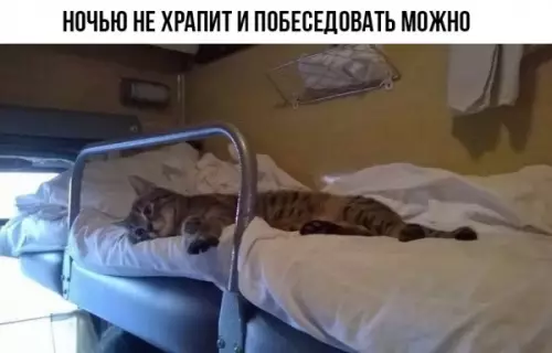 Смешная картинка №652827