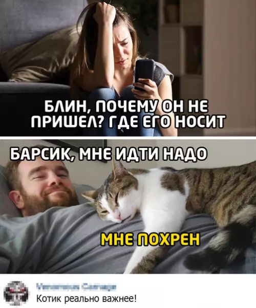 Смешная картинка №550600
