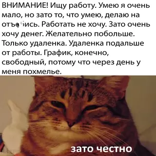 Смешная картинка №680871 работа