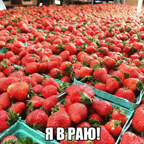 Смешная картинка №275527