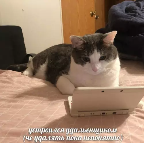 Смешная картинка №792984