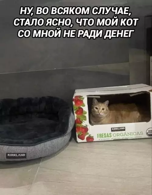 Смешная картинка №805410