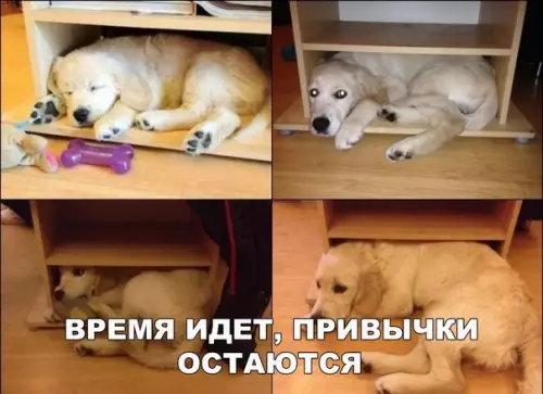 Смешная картинка №207696