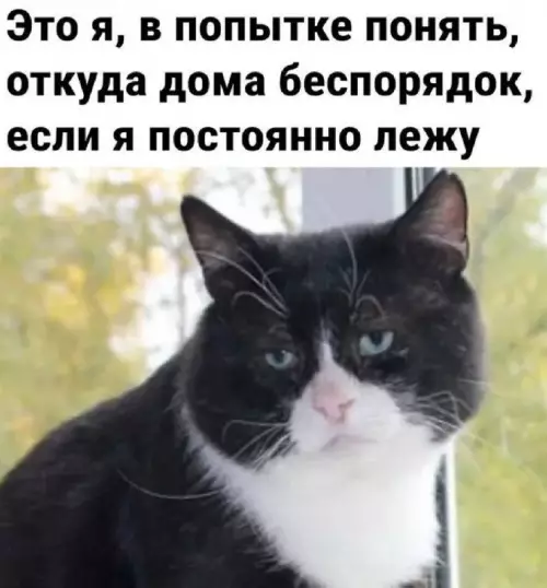 Смешная картинка №703970