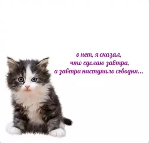 Смешная картинка №744033 Вот опять