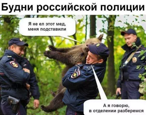 Смешная картинка №194704 полиция, россия, медведь
