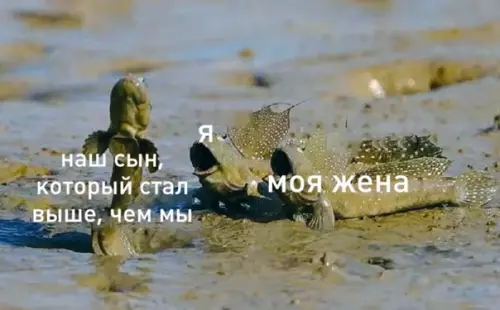 Смешная картинка №541839 Kaк быстро растут дети