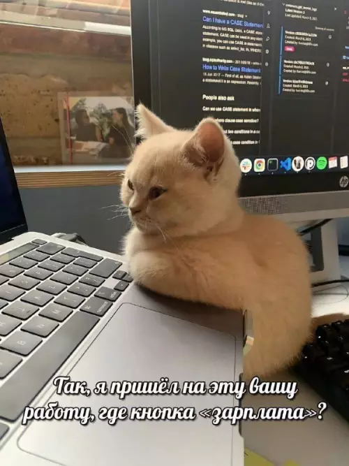 Смешная картинка №697003