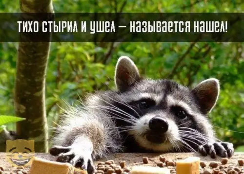 Смешная картинка №322898