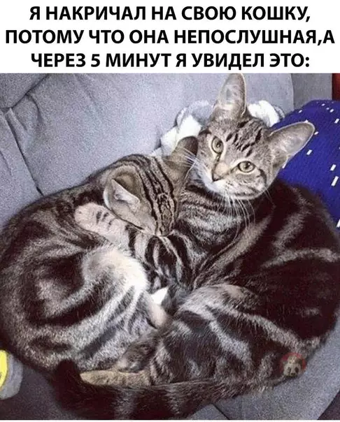 Смешная картинка №544217 А-ну быстро извинилась!