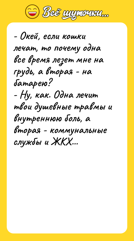 - Окей, если кошки лечат, то почему одна все время