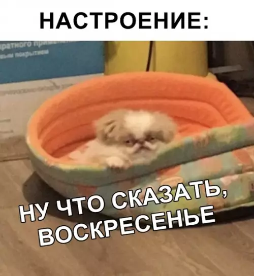 Смешная картинка №333129