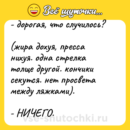 Шутка: - дорогая, что случилось?<br><br>(жира дохуя, пресса нихуя. одна стрелка толще другой. кончики секутся. нет просвета между ляжками).<br><br>- НИЧЕГО.