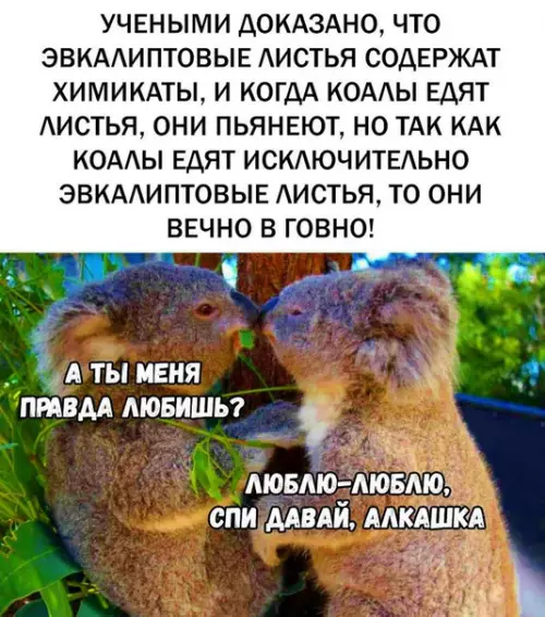 Смешная картинка №302106