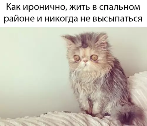 Смешная картинка №467683