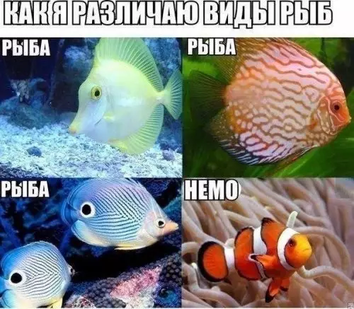 Смешная картинка №308920