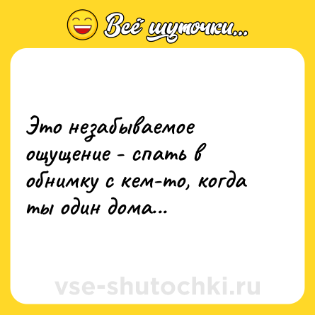 Шутка: Это незабываемое ощущение - спать в обнимку с кем-то, когда ты один дома...