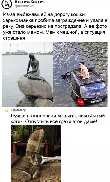 Смешная картинка №533209 Ты неси меня река....