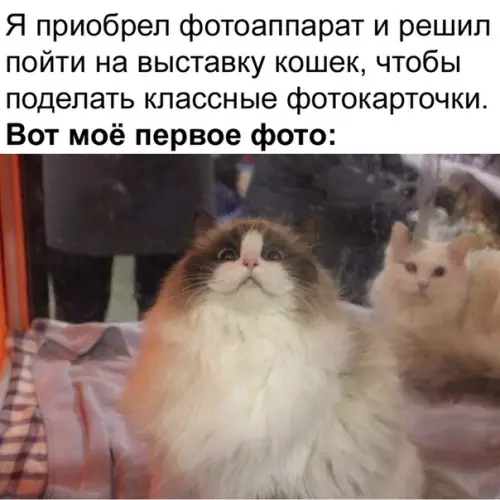 Смешная картинка №496619 Думаю, он не пожалел о покупке.