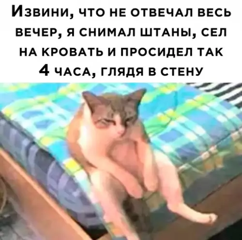 Смешная картинка №669591