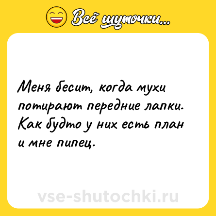 Шутка: Меня бесит, когда мухи потирают передние лапки.<br>Как будто у них есть план и мне пипец.
