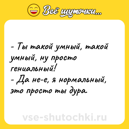 Шутка: - Ты такой умный, такой умный, ну просто гениальный!<br>- Да не-е, я нормальный, это просто ты дура.