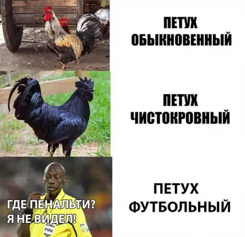Смешная картинка №284517