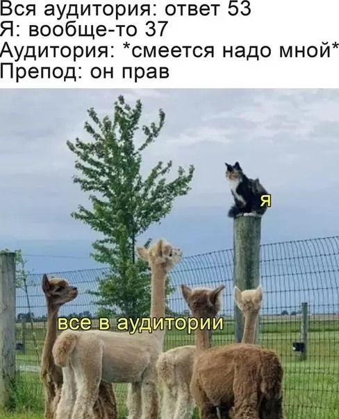 Смешная картинка №506570