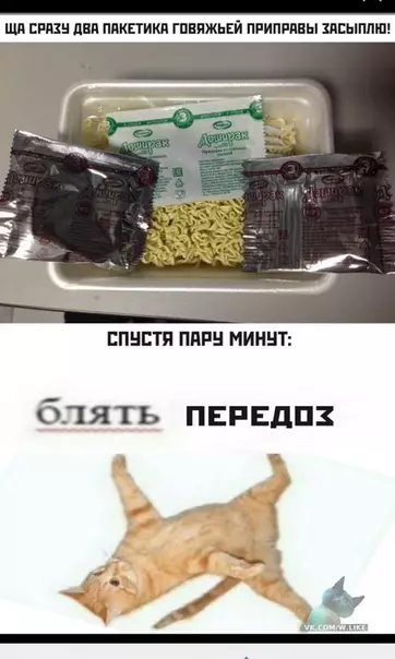 Смешная картинка №350689