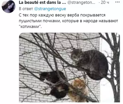 продолжение Смешная картинка №639337