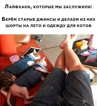 Смешная картинка №646133
