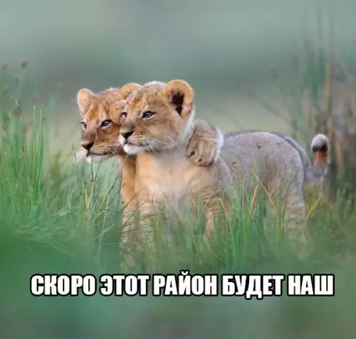 Смешная картинка №305438