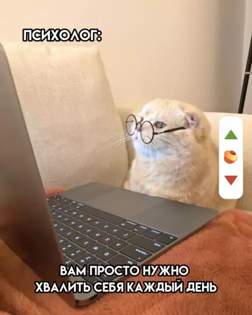 Смешная картинка №776452