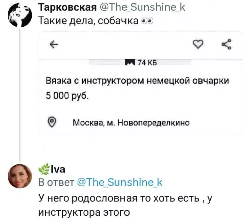 Смешная картинка №701897