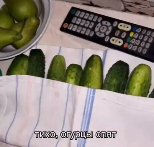 Не шуми, а то огурцы проснутся! 🥒🤫 - ТИХО, ОГУРЦЫ СПЯТ