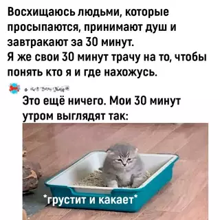 Смешная картинка №679170