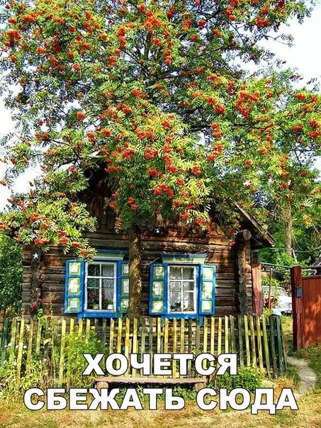 Смешная картинка №258002