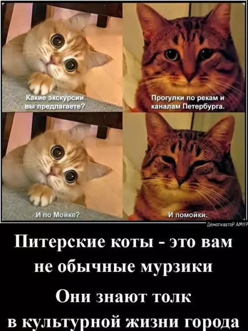 Смешная картинка №735363