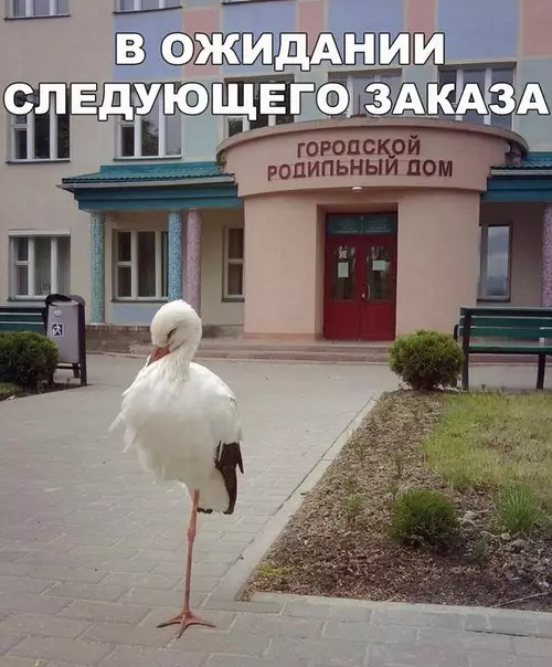 Смешная картинка №219490