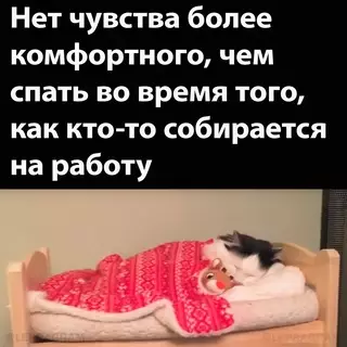 Смешная картинка №663502 Boт дa