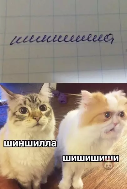 Смешная картинка №481537 Существует два типа людей: