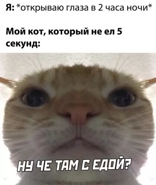 Смешная картинка №528992