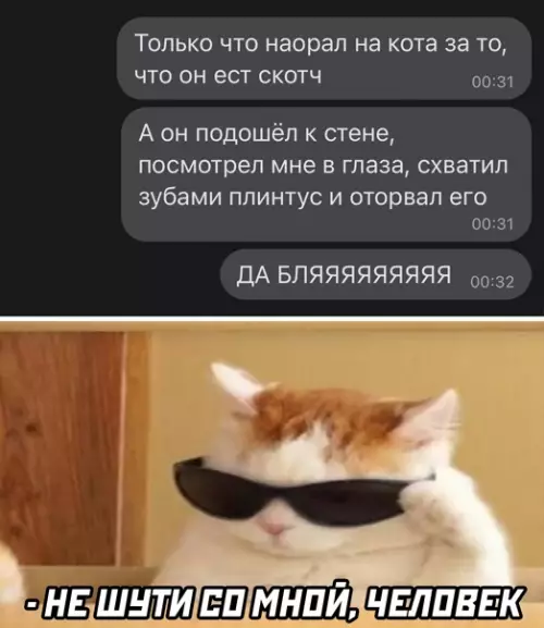 Смешная картинка №561985