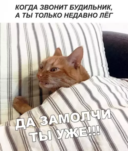 Смешная картинка №404627
